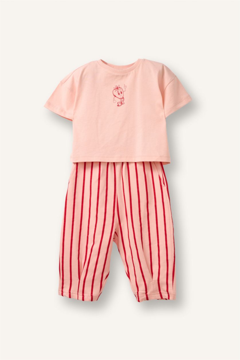 Baby Girl Pink 2 piece Regular Fit Crew Neck Set