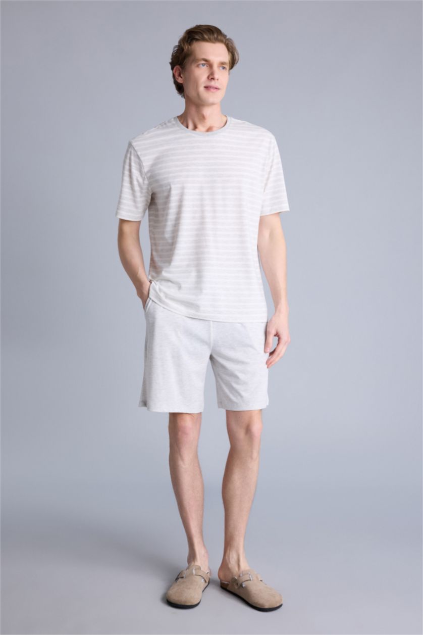 Erkek Optik Gri Melanj Regular Fıt Çizgili Kısa Kollu 2'li Takım