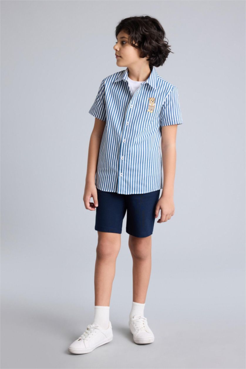 Boys & Teens White Regular Fit Striped Short Sleeve Shirt