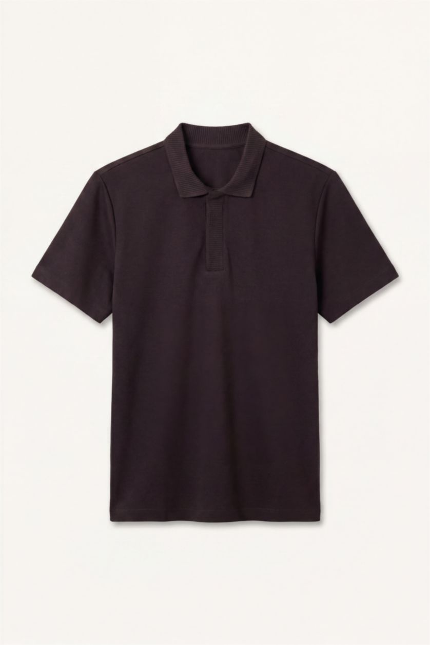 Men Brown Regular Fit Short Sleeve Polo T-Shirt