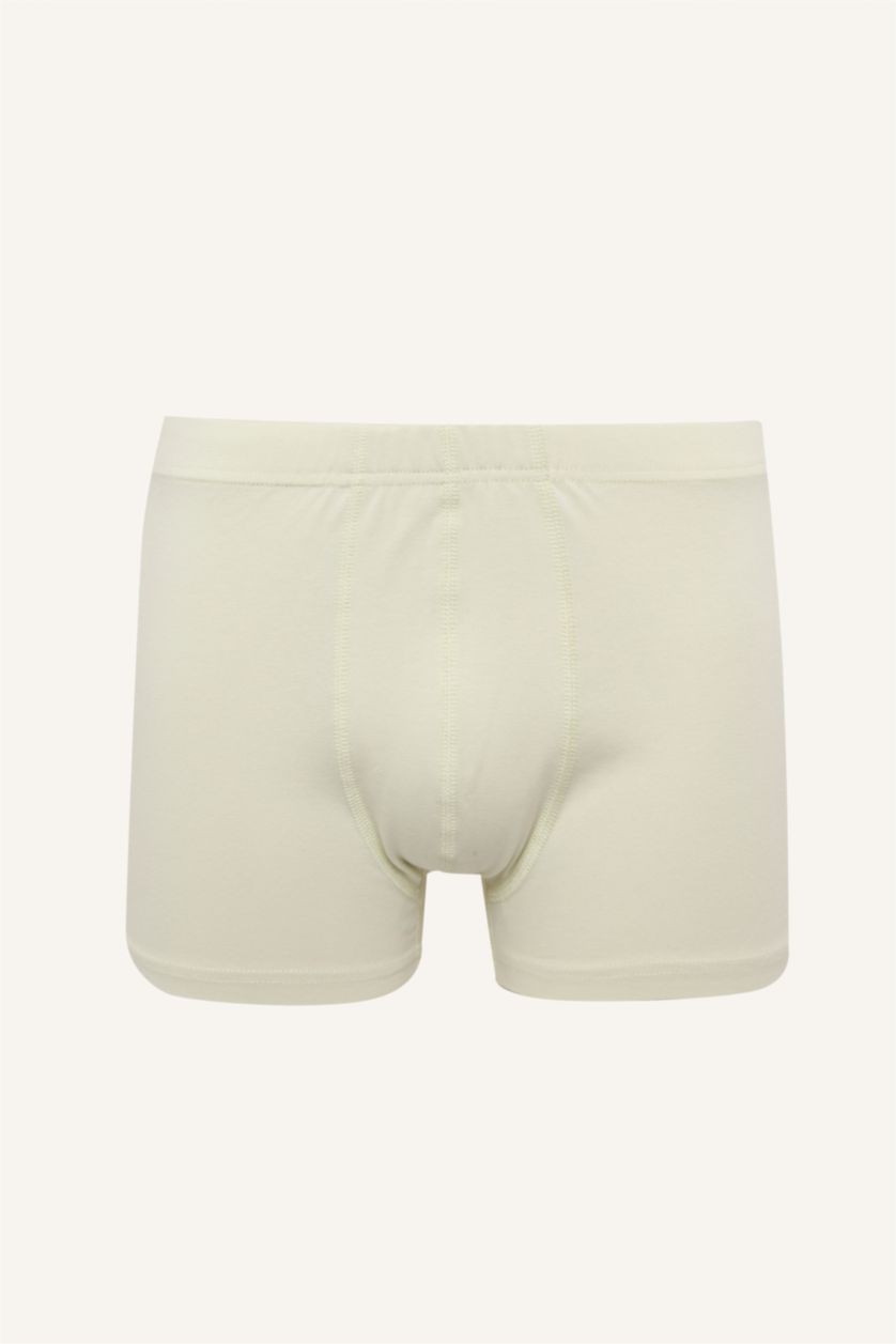 Men Light Mint Regular Fit 3 piece