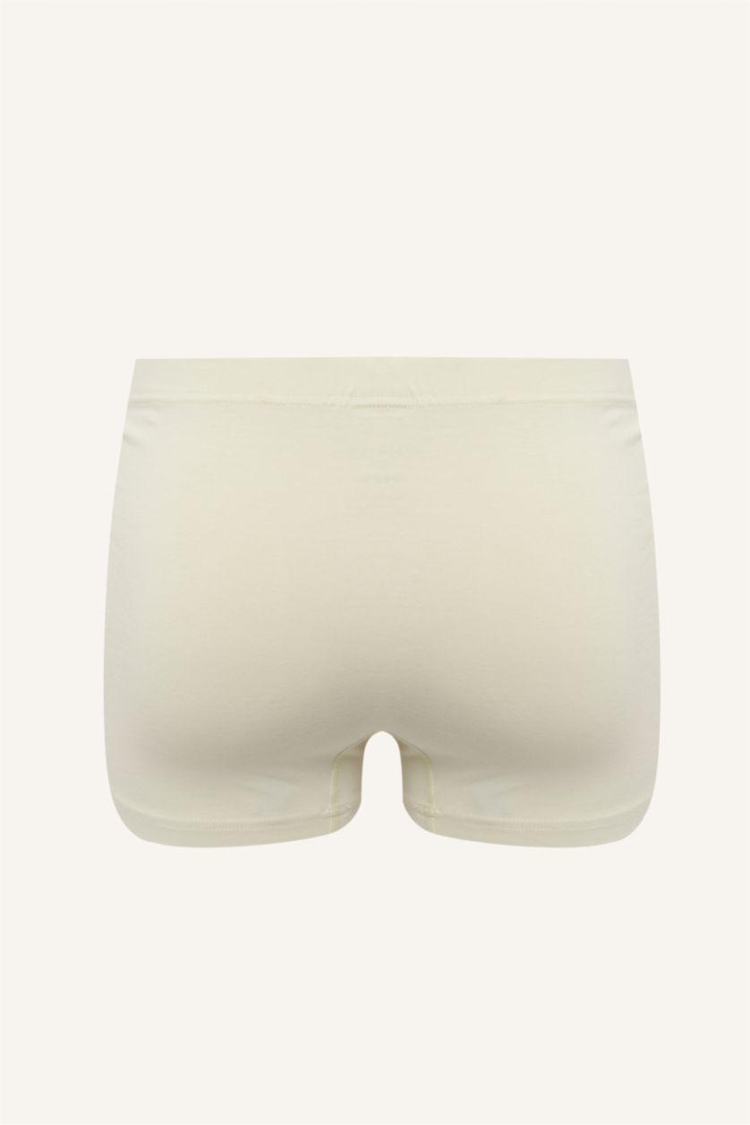 Men Light Mint Regular Fit 3 piece