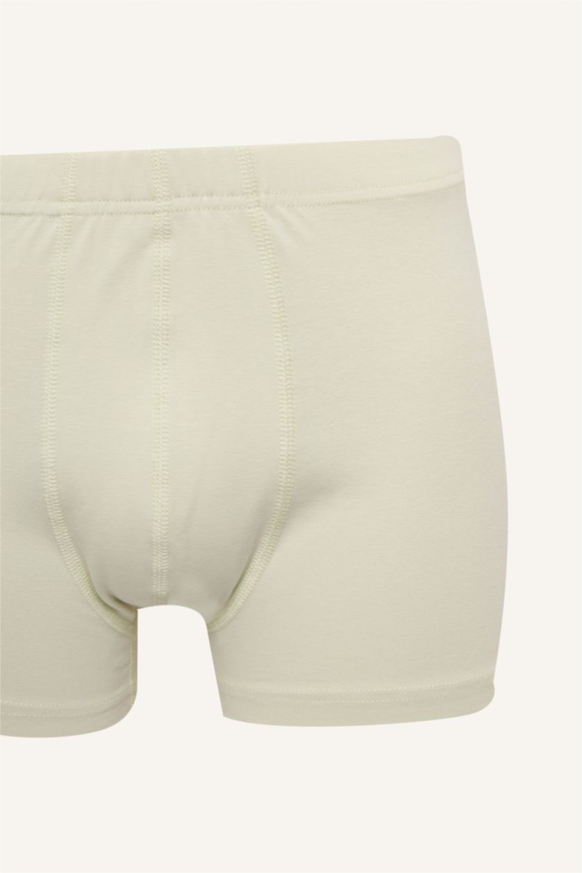 Men Light Mint Regular Fit 3 piece