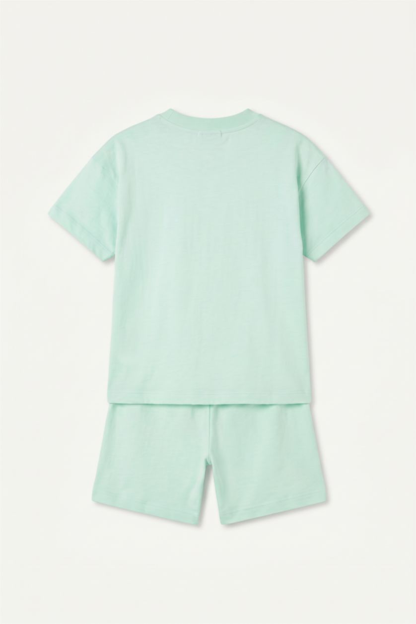 Baby Boys Parlak Açık Yeşiil 2 piece Regular Fit Lilo & Stitch Licensed Set