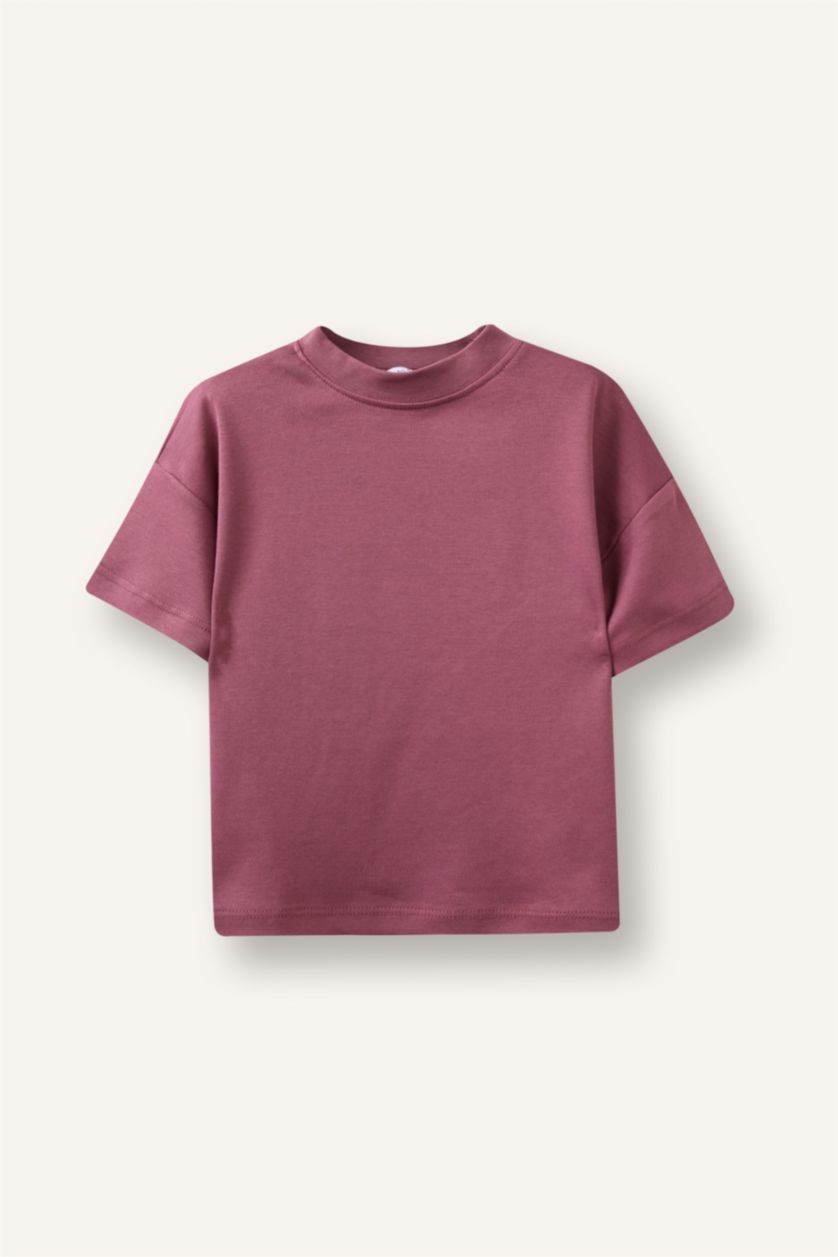 Baby Boys Light Bordeaux Regular Fit Short Sleeve T-Shirt