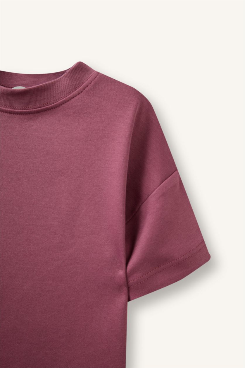Baby Boys Light Bordeaux Regular Fit Short Sleeve T-Shirt