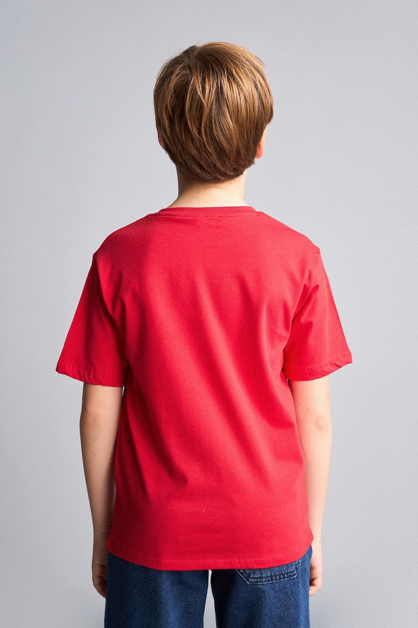 Young Boys - Teen Boys Red New Regular Fit Printed Short Sleeve T-Shirt