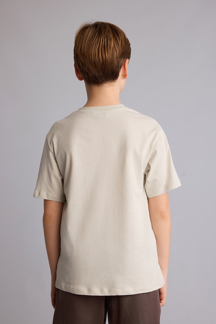 Young Boys - Teen Boys Light Grey Boy New Regular Fit Printed Short Sleeve T-Shirt