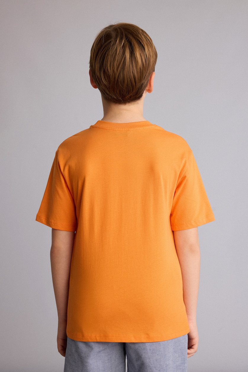 BOYS & TEENS Orange Boy New Regular Fit Printed Short Sleeve T-Shirt