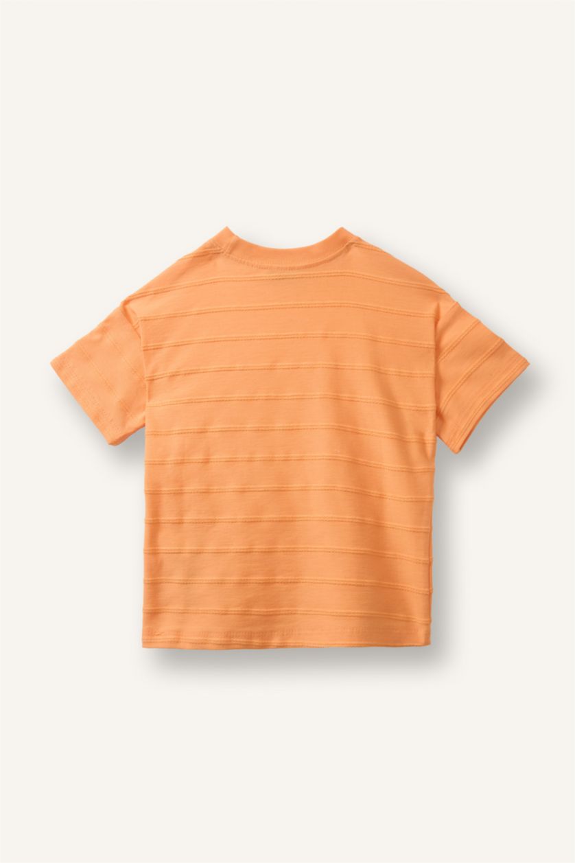 Baby Boy Salmon Regular Fit Short Sleeve T-Shirt