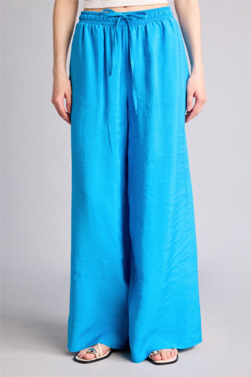 Women Light Blue Normal Waist Wide Leg Trousers