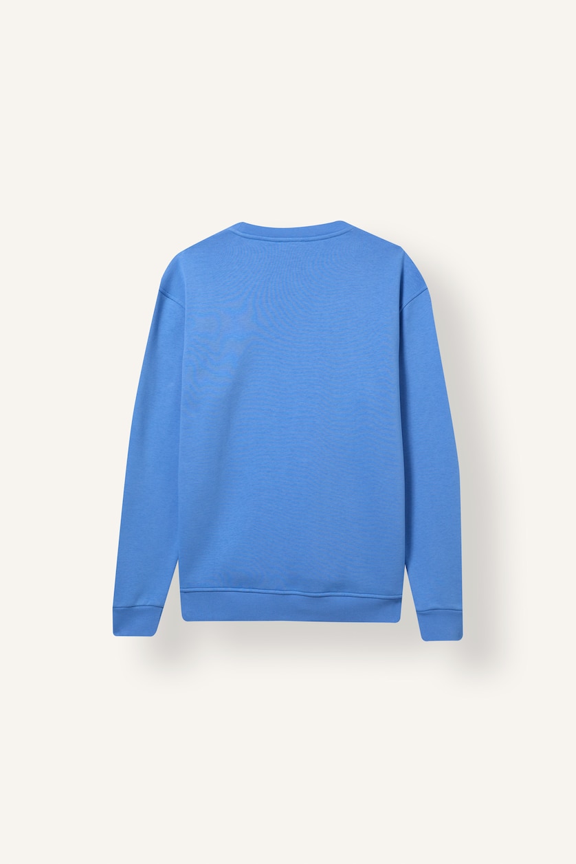 Erkek Mavi Regular Fıt Kalın Kumaş Sweatshirt