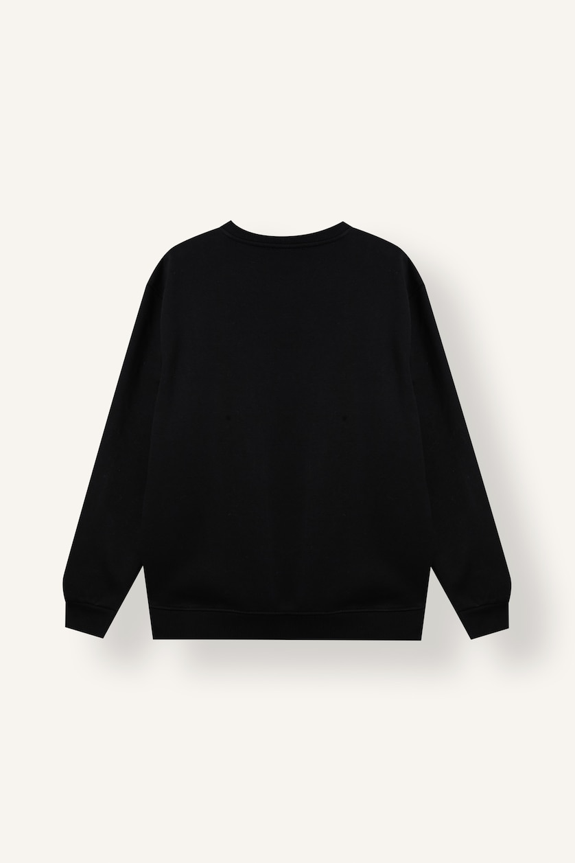 Men Black Regular Fit Basic Crew Neck Sweatshirt