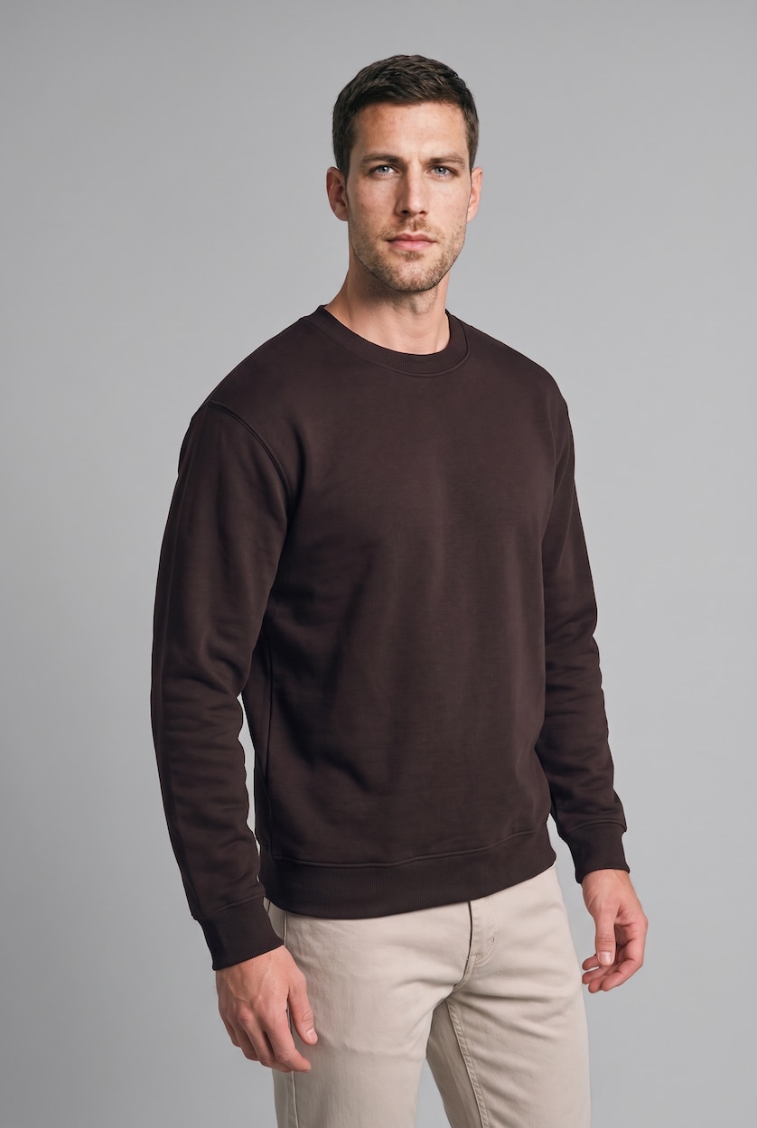 MAN Brown Regular Fit Heavyweight Fabric Sweatshirt