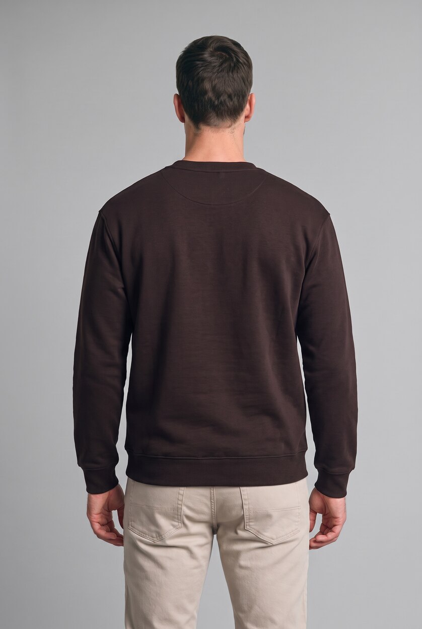 MAN Brown Regular Fit Heavyweight Fabric Sweatshirt