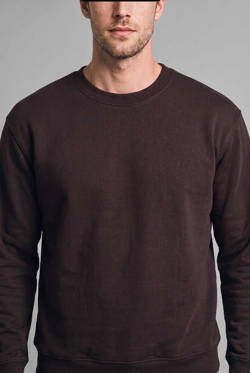 MAN Brown Regular Fit Heavyweight Fabric Sweatshirt