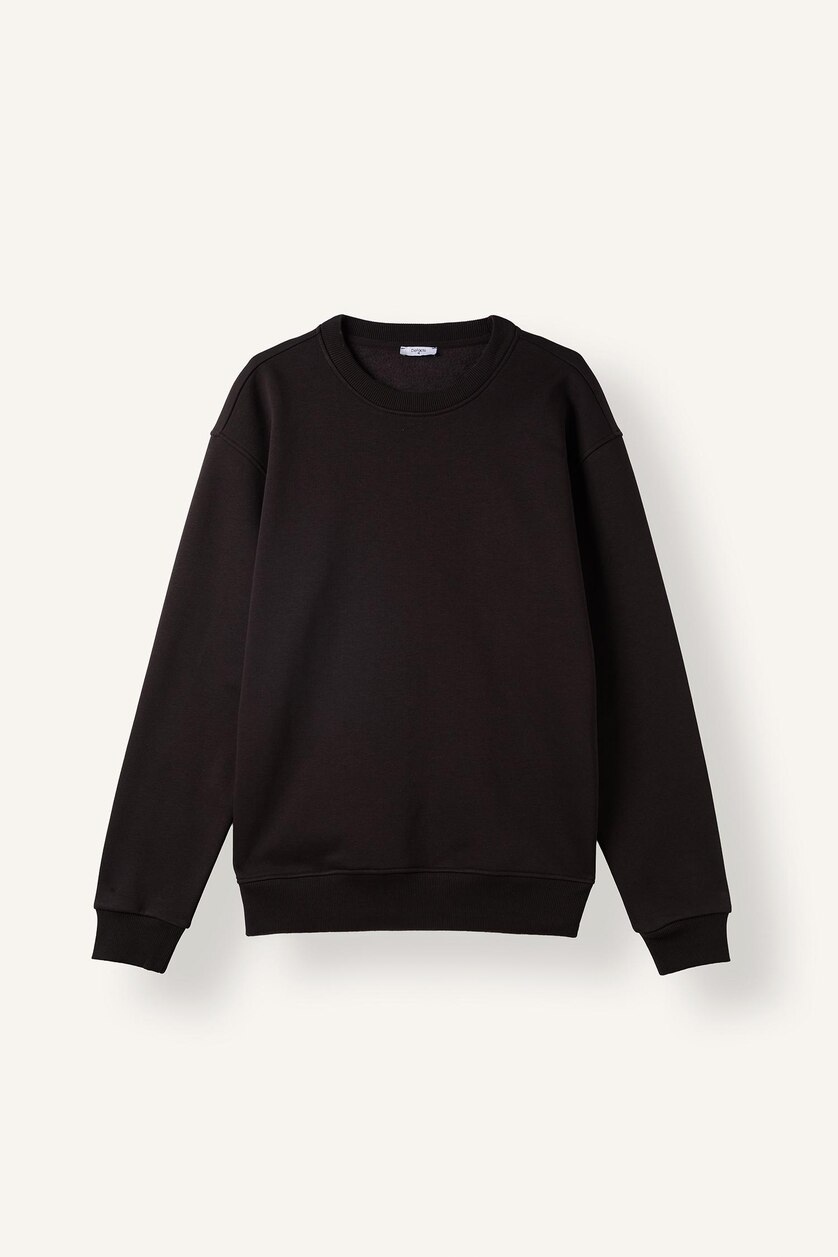 MAN Brown Regular Fit Heavyweight Fabric Sweatshirt