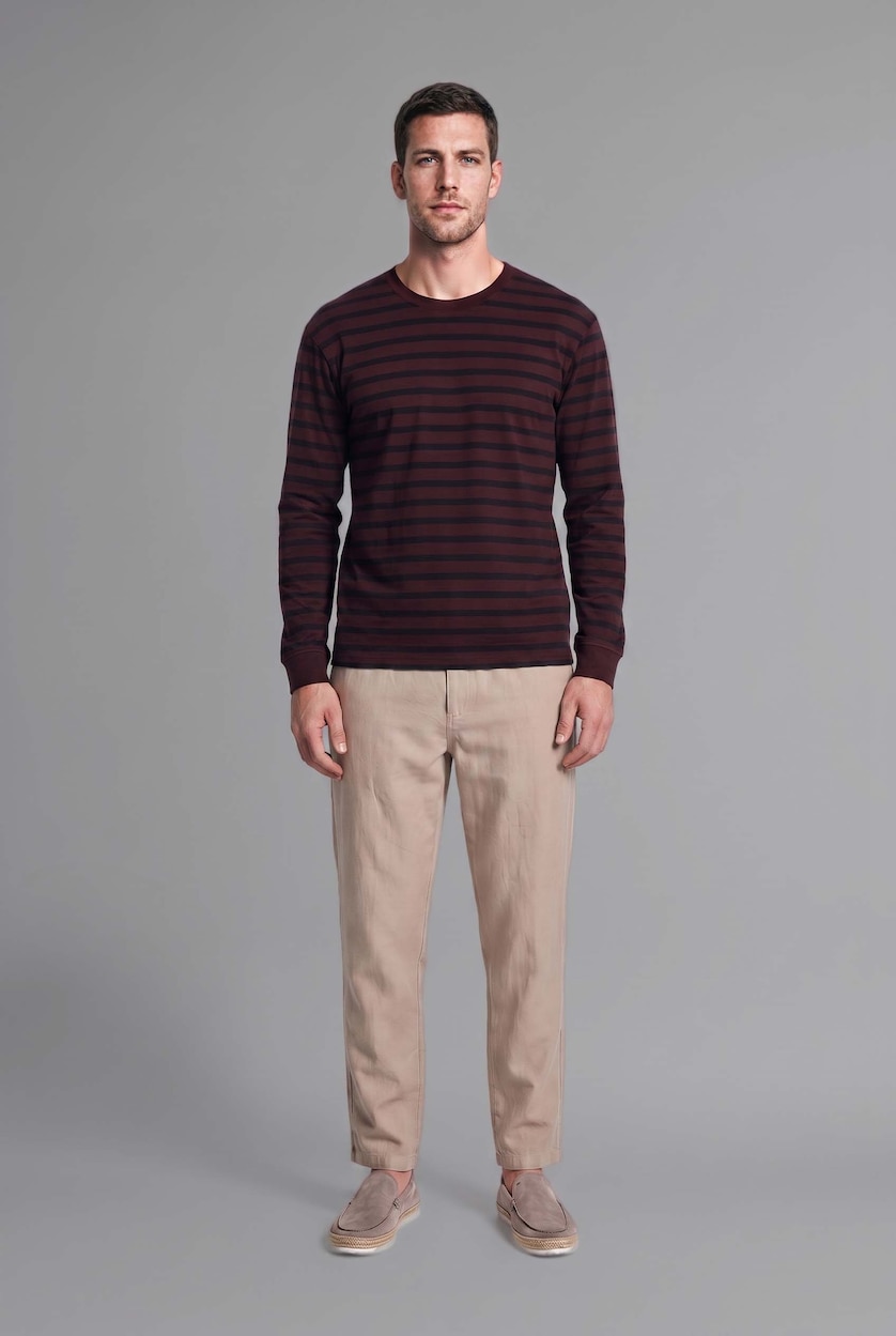 Men Brown Regular Fit Long Sleeve T-Shirt