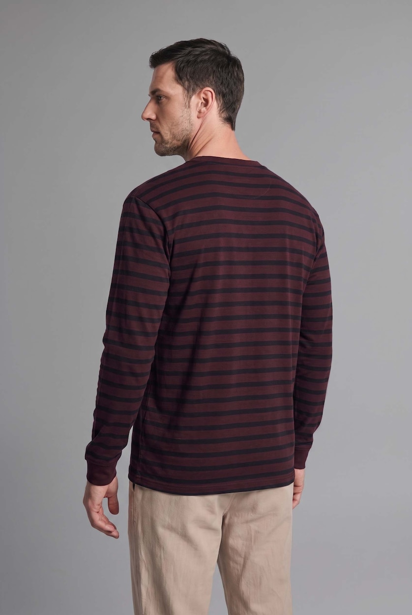 Men Brown Regular Fit Long Sleeve T-Shirt