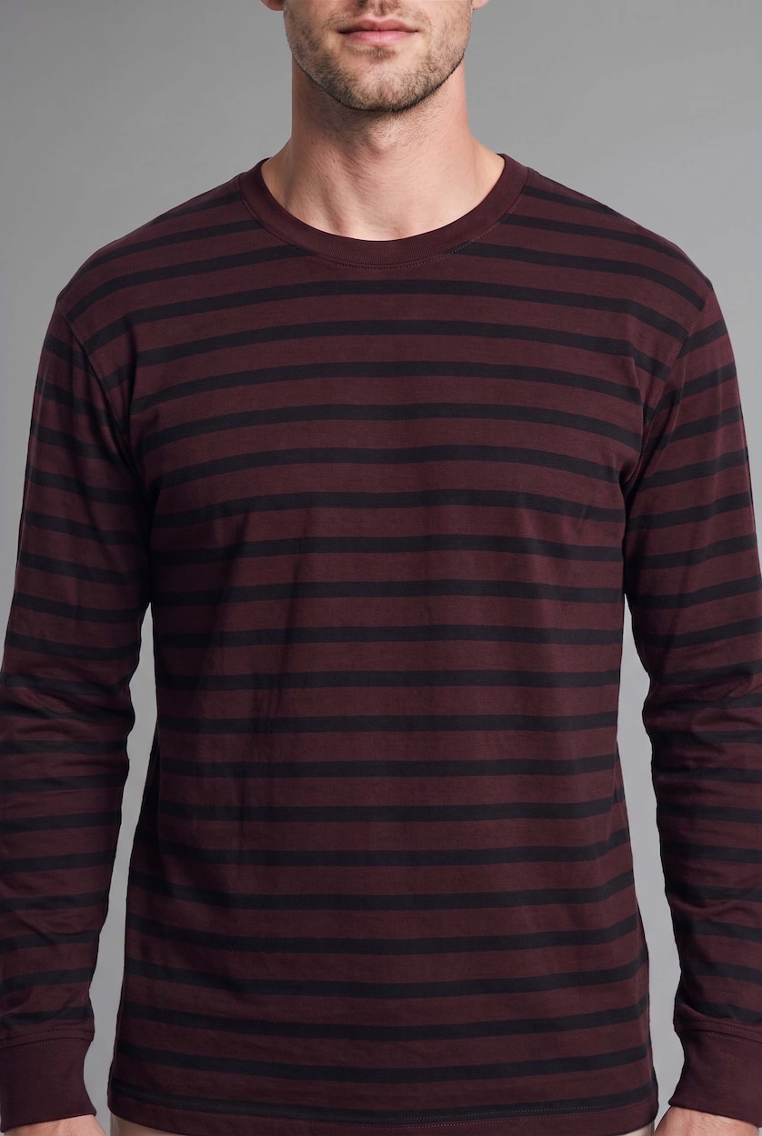Men Brown Regular Fit Long Sleeve T-Shirt