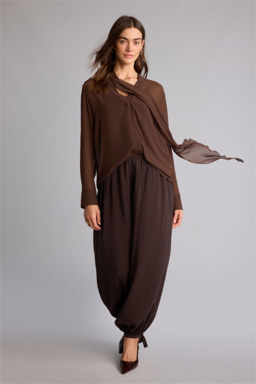 Woman Brown Regular Fit Shawl Collar Long Sleeve Blouse