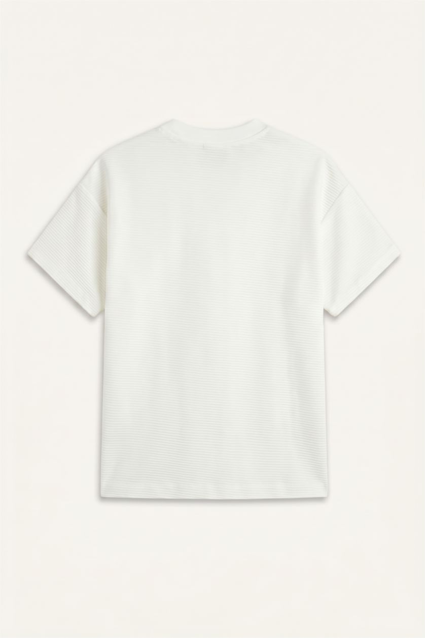Baby Boys Ecru Regular Fit Short Sleeve T-Shirt