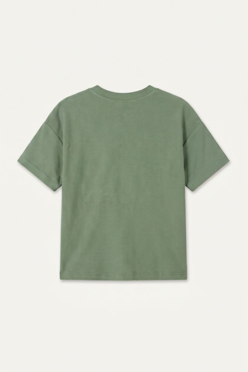 Baby Boys Light Khaki Regular Fit Short Sleeve T-Shirt