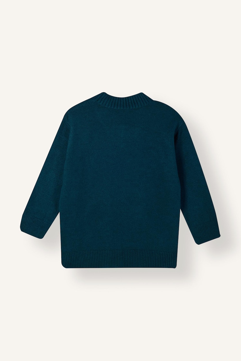 Women Petrol Relax Fit Knitwear Tunic