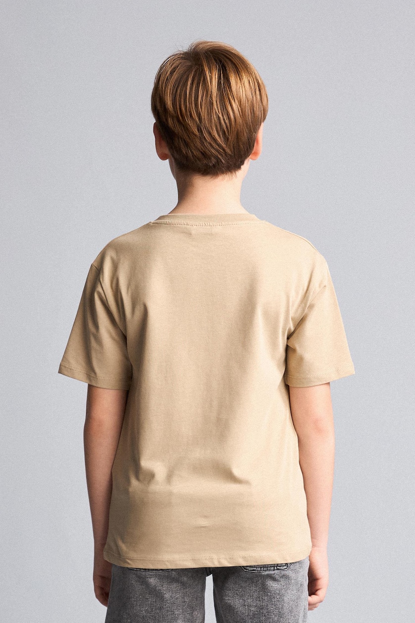 Young Boys - Teen Boys Beige Short Sleeve T-Shirt