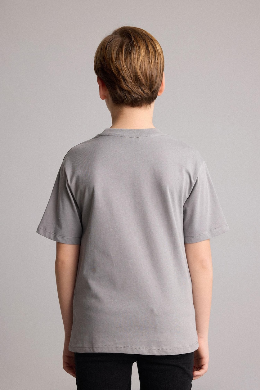 Young Boys - Teen Boys Grey Short Sleeve T-Shirt