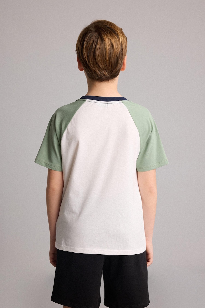 Young Boys - Teen Boys Light Green Boy New Regular Fit Crew Neck T-Shirt