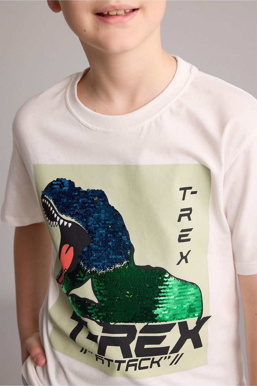 Young Boys - Teen Boys Ecru Short Sleeve T-Shirt