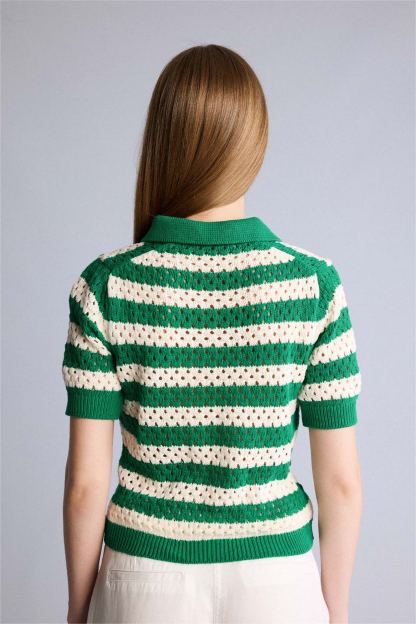 Kadın Yeşil Regular Fıt Triko Kazak