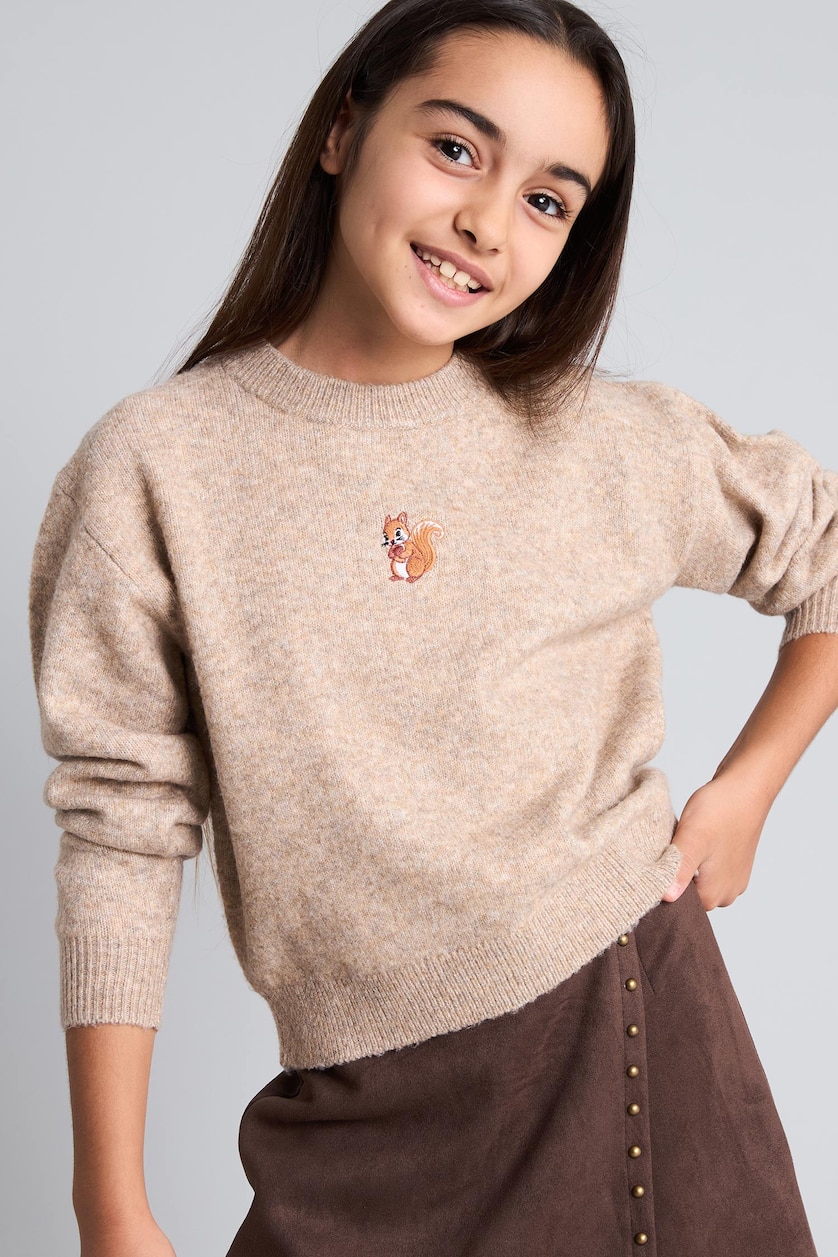 Young Girls - Teen Girls Vison Girl Regular Fit Embroidered Crew Neck Pullover