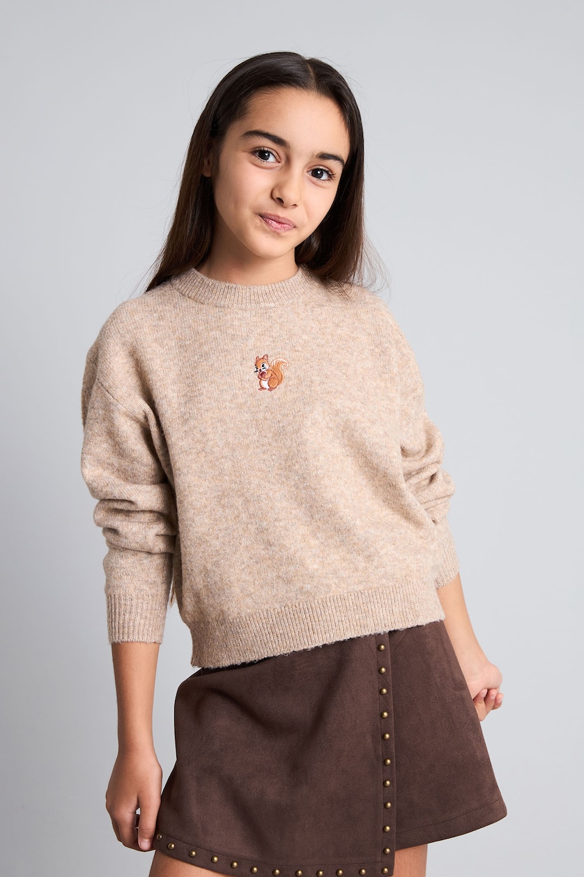 Young Girls - Teen Girls Vison Girl Regular Fit Embroidered Crew Neck Pullover