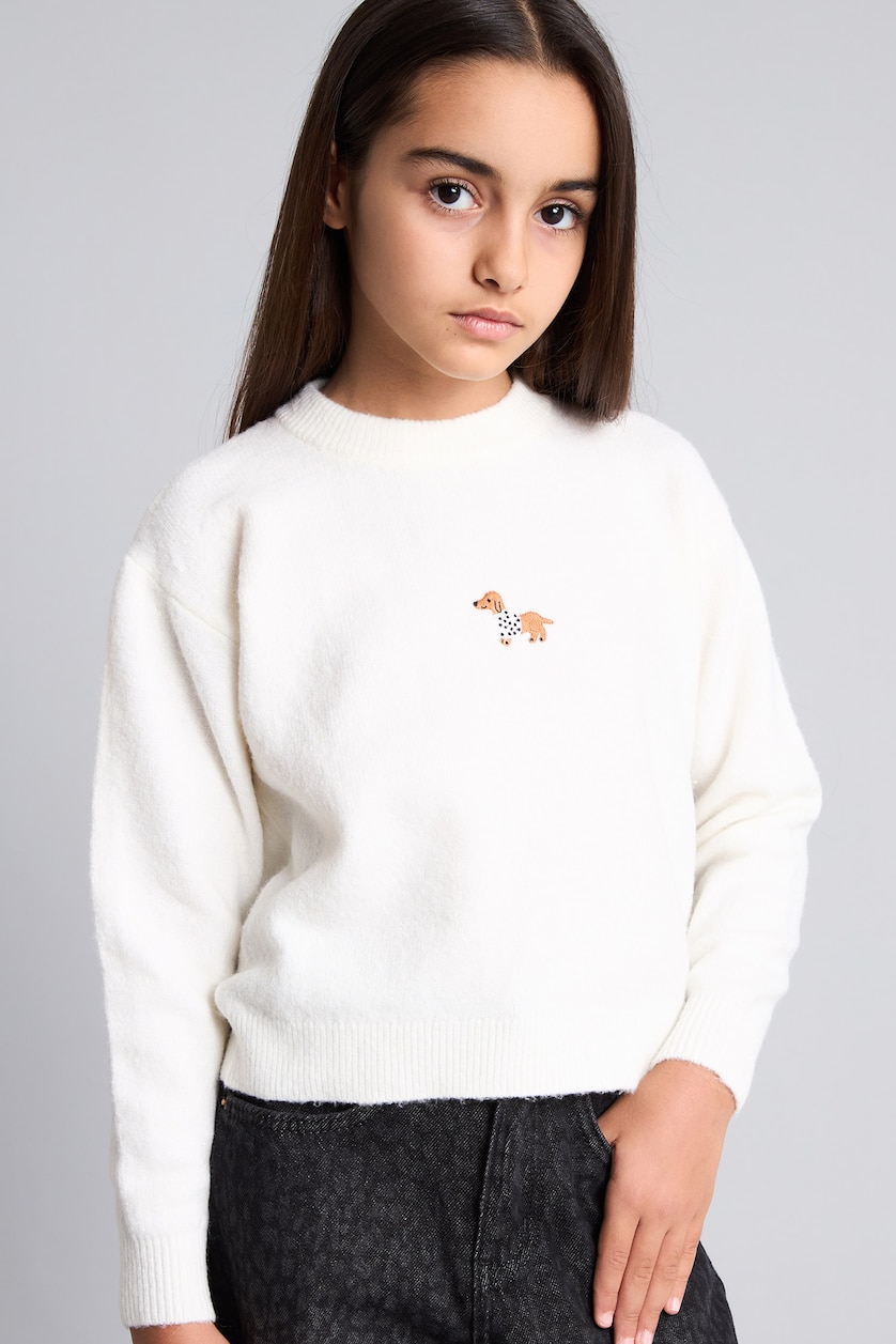 Young Girls - Teen Girls Ecru Girl Regular Fit Embroidered Crew Neck Pullover