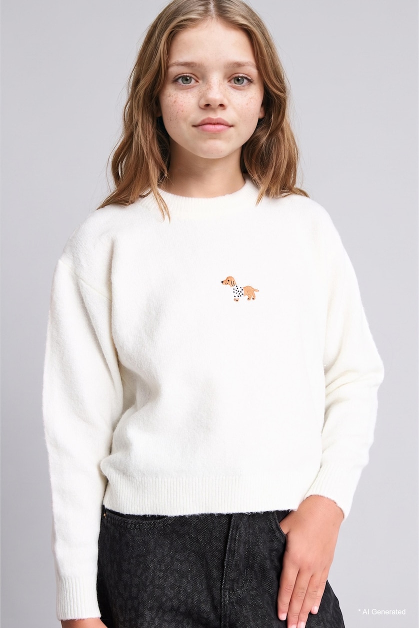 Девочки и подростки Бежевый Girl Embroidered Crew Neck Pullover