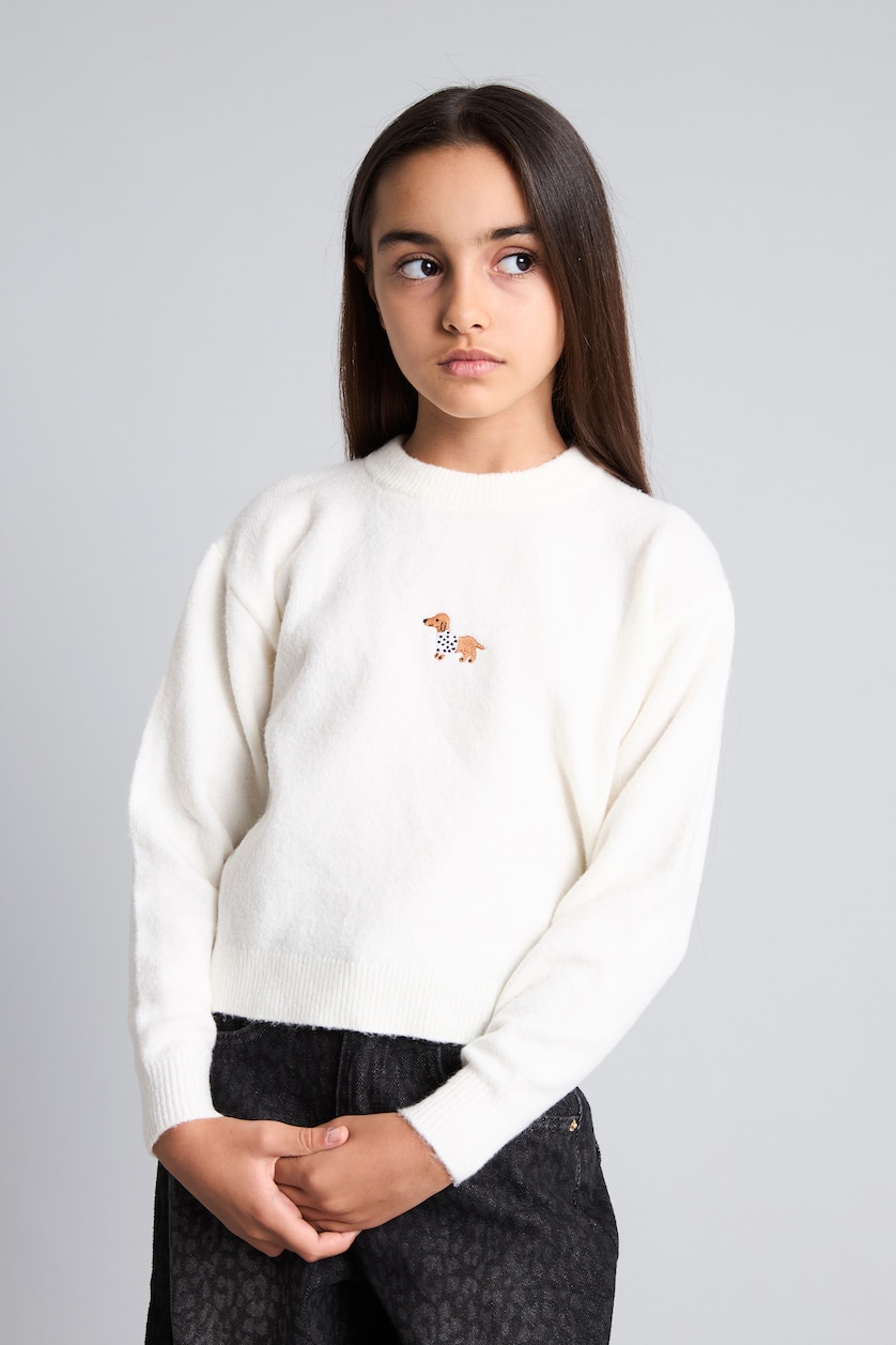 Young Girls - Teen Girls Ecru Girl Regular Fit Embroidered Crew Neck Pullover