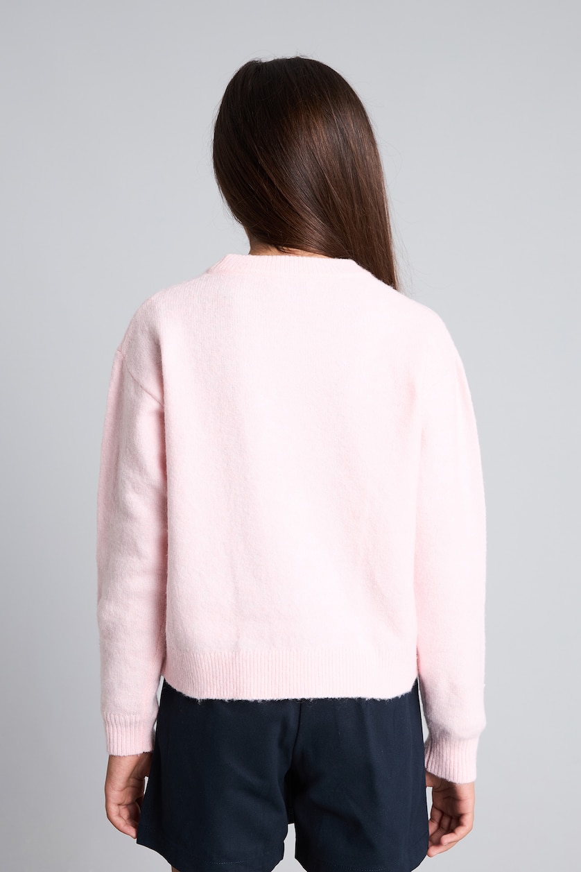 Young Girls - Teen Girls Light Pink Girl Regular Fit Embroidered Crew Neck Pullover