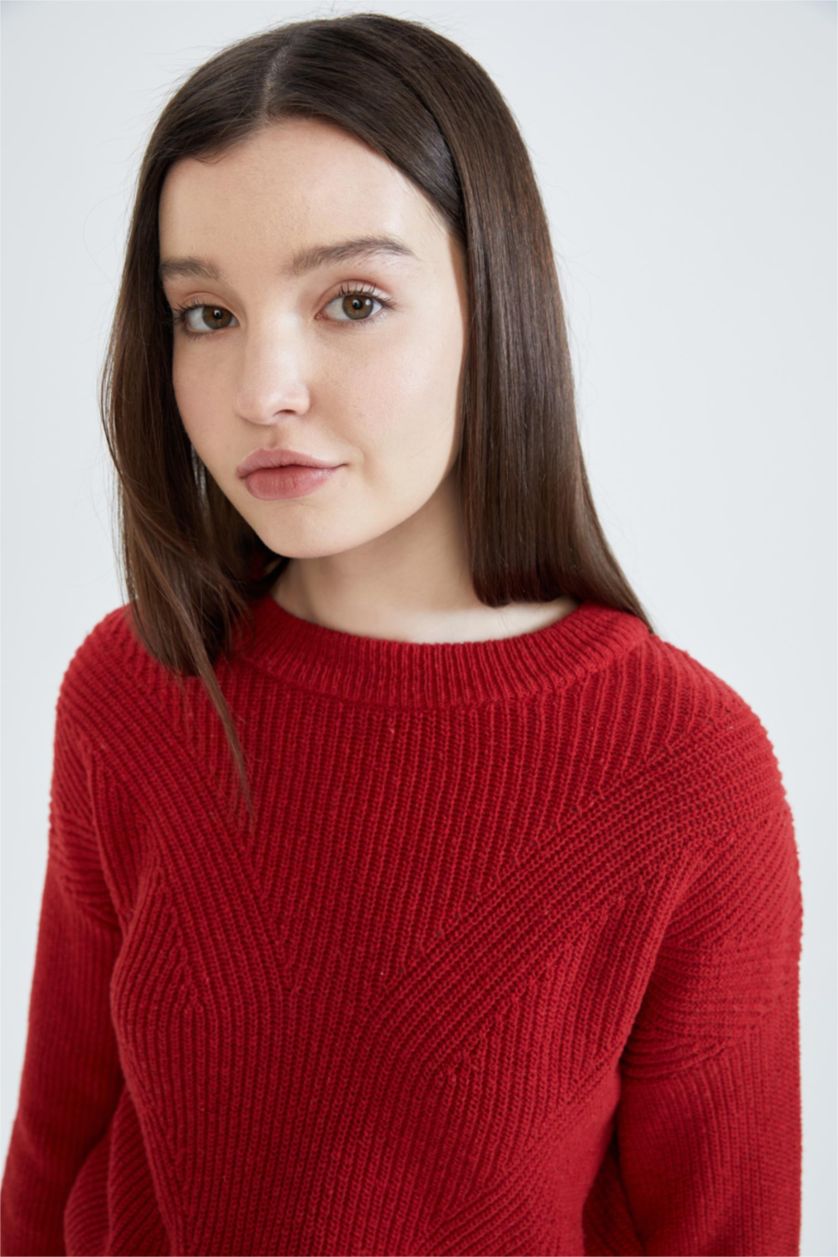 Женщины Бордовый Пуловер стандартного кроя с круглым вырезом для женщин