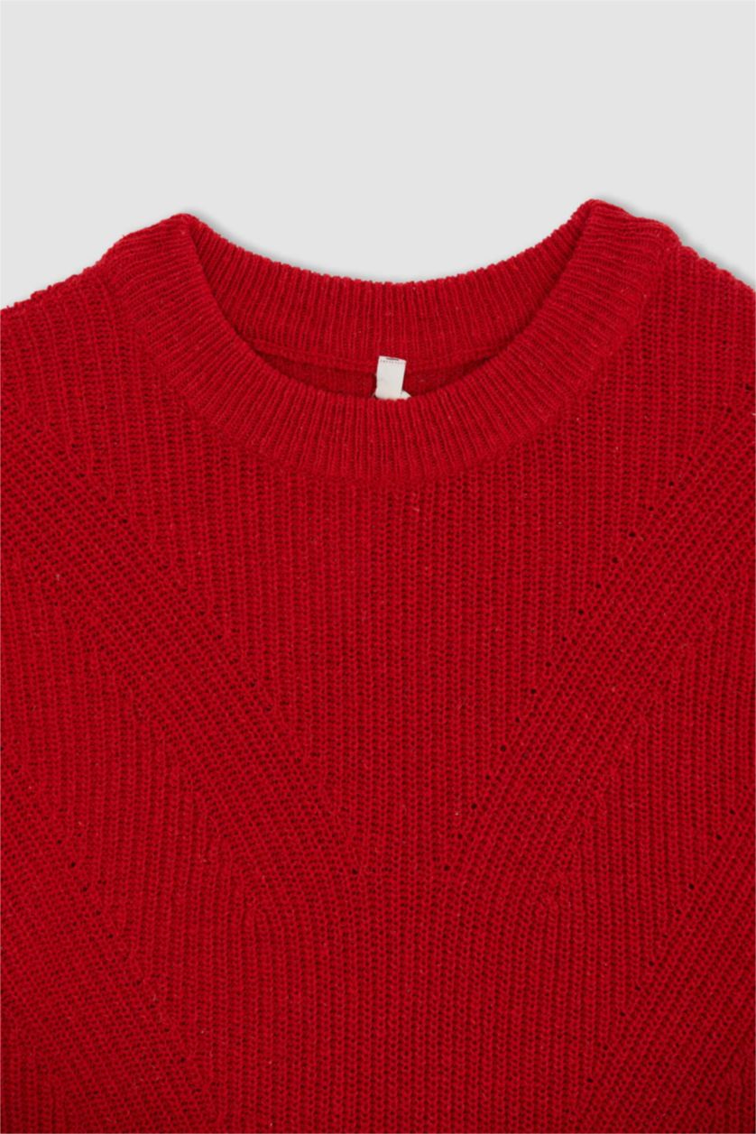 Женщины Бордовый Пуловер стандартного кроя с круглым вырезом для женщин