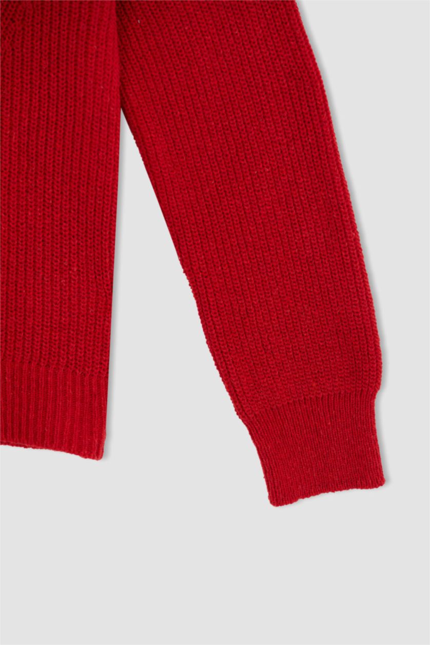 Женщины Бордовый Пуловер стандартного кроя с круглым вырезом для женщин