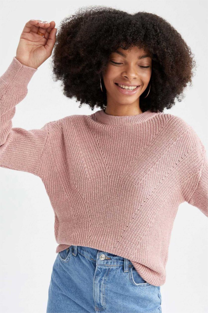 Women Rose Regular Fit Pullover