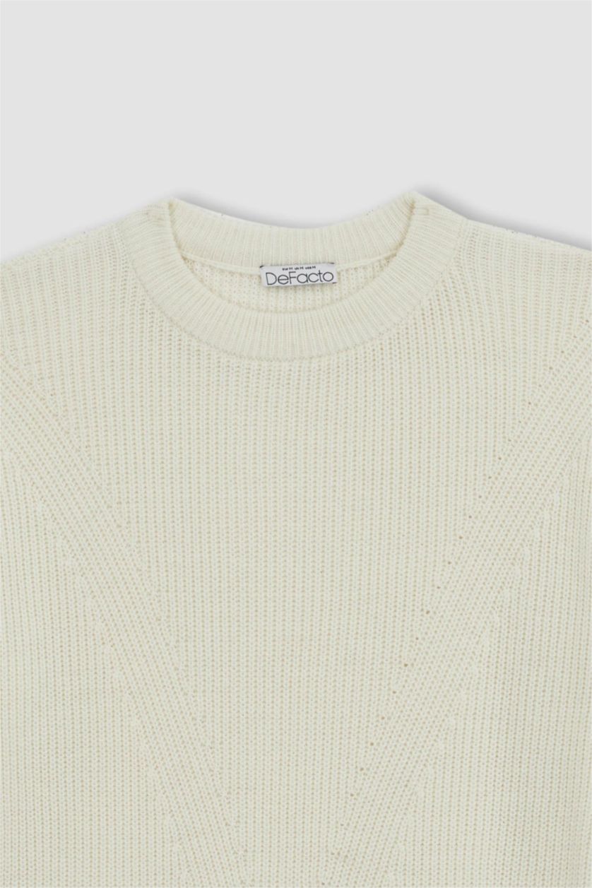 Kadın Ekru Regular Fit Bisiklet Yaka Basic Triko Kazak