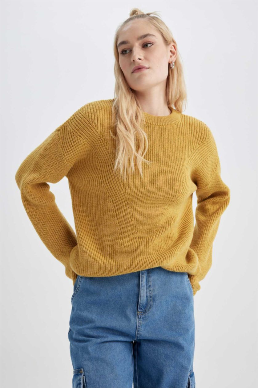 Woman Yellow Regular Fit Knitwear Pullover