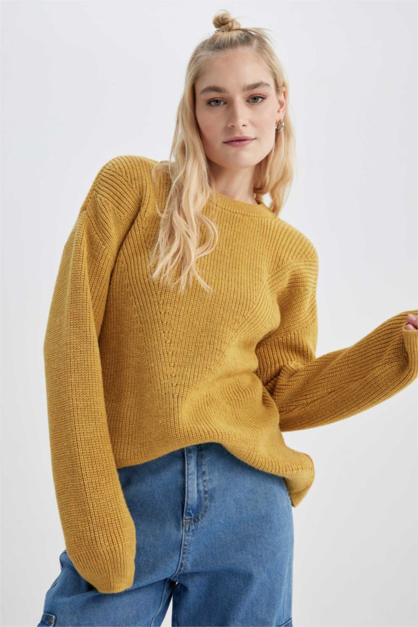 Woman Yellow Regular Fit Knitwear Pullover
