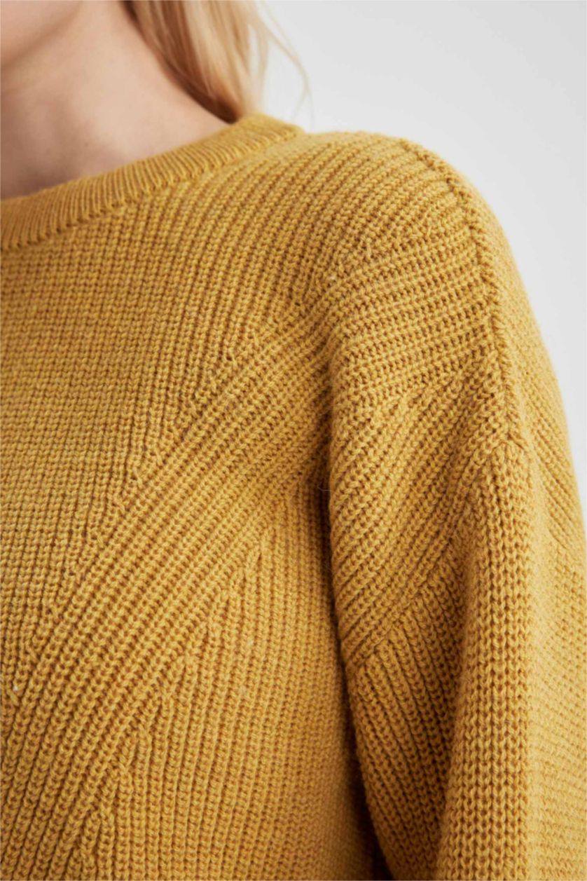 Woman Yellow Regular Fit Knitwear Pullover