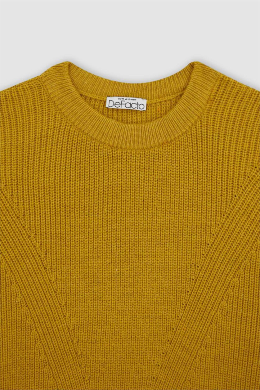 Woman Yellow Regular Fit Knitwear Pullover