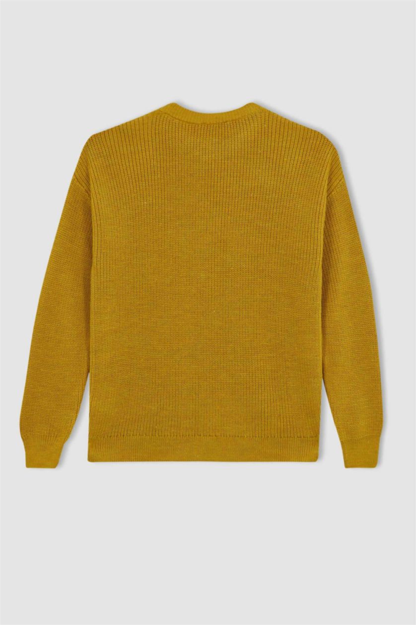 Woman Yellow Regular Fit Knitwear Pullover