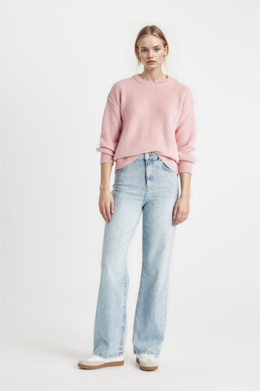 WOMAN Light Pink Regular Fit Crew Neck Knitwear Pullover